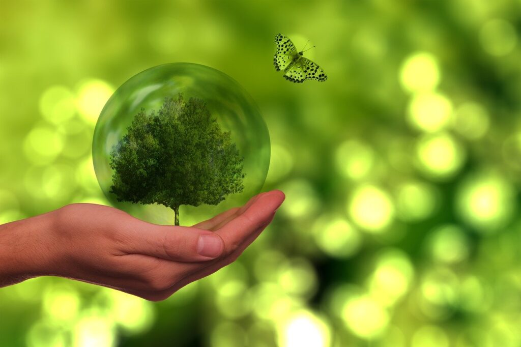 Regenerative Energien Titel