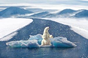 Anteil der EE in Deutschland, Klimaschutz, Eisbär