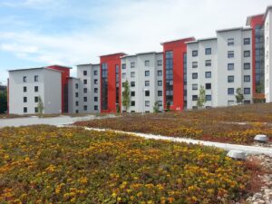 Flachdach