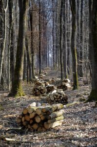 Gebäude-Energie-Gesetz, Biomasse