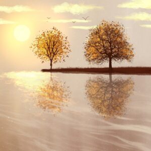 Photovoltaik Solarmodule, Reflexion