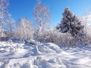 Kälte, Winter, Schnee