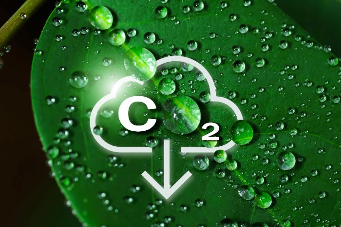 CO₂ Senkung